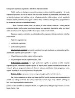 Referāts 'Pedagogu atalgojums un profesionālā pilnveide Polijā', 26.