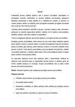 Referāts 'Operācijas māsu zināšanas par ķirurģisku pacientu pozicionēšanu', 6.