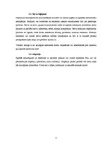 Referāts 'Operācijas māsu zināšanas par ķirurģisku pacientu pozicionēšanu', 11.
