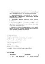 Konspekts 'Akūta leikoze', 2.