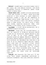 Referāts 'Ceļojumu pakete uz Somiju', 7.