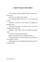 Referāts 'Ceļojumu pakete uz Somiju', 13.