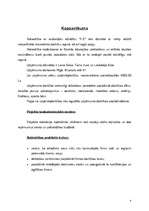 Biznesa plāns 'SIA "P.E"', 4.