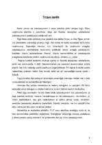 Biznesa plāns 'SIA "P.E"', 9.