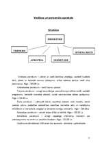 Biznesa plāns 'SIA "P.E"', 12.