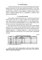 Referāts 'Atkritumu šķirošanas līniju raksturojums', 6.