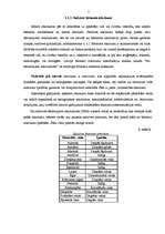 Referāts 'Atkritumu šķirošanas līniju raksturojums', 7.