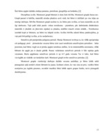 Referāts 'Marijas Montesori pedagoģiskie uzskati', 13.