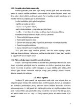 Referāts 'Pilota profesijas iegūšanas nosacījumi un iespējas', 9.