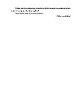 Referāts 'Pilota profesijas iegūšanas nosacījumi un iespējas', 33.