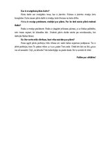 Referāts 'Pilota profesijas iegūšanas nosacījumi un iespējas', 43.