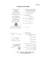 Referāts 'Pilota profesijas iegūšanas nosacījumi un iespējas', 48.