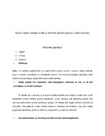 Konspekts 'Sociālo zinību analīze', 5.