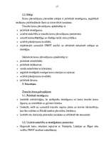 Referāts 'Biznesa plāna būtība un funkcijas', 17.