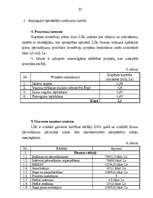 Referāts 'Biznesa plāna būtība un funkcijas', 20.