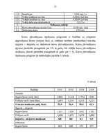 Referāts 'Biznesa plāna būtība un funkcijas', 21.