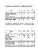 Referāts 'Biznesa plāna būtība un funkcijas', 23.