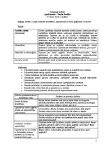 Paraugs 'Integrētā eksāmena darbs sākumskolas mācību metodikā', 2.