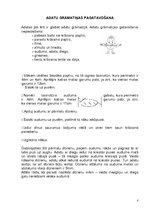 Paraugs 'Integrētā eksāmena darbs sākumskolas mācību metodikā', 8.