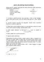 Paraugs 'Integrētā eksāmena darbs sākumskolas mācību metodikā', 10.