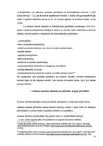 Referāts 'Kultūras nozares situācijas raksturojums Tukuma novadā', 10.