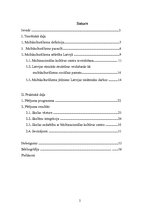 Referāts 'Multikulturālisma attīstība Latvijā', 1.