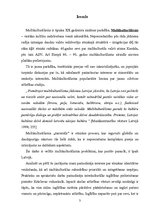 Referāts 'Multikulturālisma attīstība Latvijā', 2.