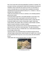 Referāts 'Notekūdeņu attīrīšana', 8.