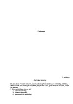 Referāts 'Notekūdeņu attīrīšana', 20.