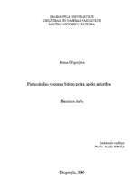Diplomdarbs 'Pirmsskolas vecuma bērnu prāta spēju attīstība', 1.