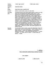 Diplomdarbs 'Pirmsskolas vecuma bērnu prāta spēju attīstība', 52.