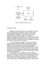 Referāts 'Biznesa procesu vadība: zinātniskos rakstos', 2.