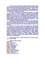 Konspekts 'Sabiedrības kārtu raksturojums', 1.