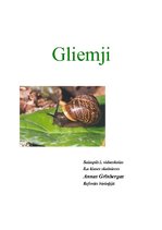 Referāts 'Gliemji', 1.