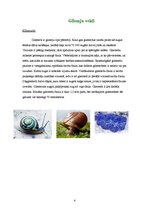 Referāts 'Gliemji', 4.