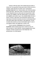 Referāts 'Gliemji', 7.