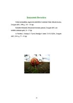 Referāts 'Gliemji', 10.