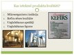 Prezentācija 'Kefīra ražošana', 11.