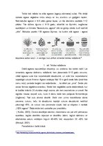 Referāts 'Tekila', 9.