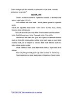 Referāts 'Tekila', 19.