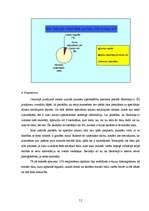Referāts 'Valmieras jauniešu vidū izplatītākie sociālie tīkli', 12.