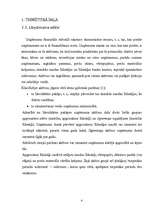 Referāts 'Apgrozāmie līdzekļi', 4.