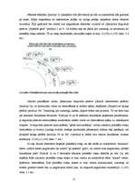 Referāts 'Automobiļa fizikālās īpašības slīdē', 15.