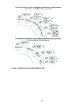 Referāts 'Automobiļa fizikālās īpašības slīdē', 16.