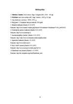 Referāts 'Automobiļa fizikālās īpašības slīdē', 18.