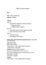 Konspekts 'Veselības mācības stundas konspekts', 1.