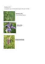 Referāts 'Dabas liegums "Ječu purvs"', 27.