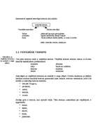 Konspekts 'Loģikas termini', 2.