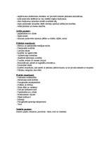 Konspekts 'Amfetamīns', 2.