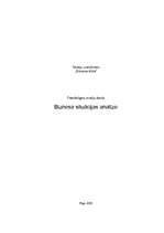 Referāts 'Biznesa situācijas analīze', 1.